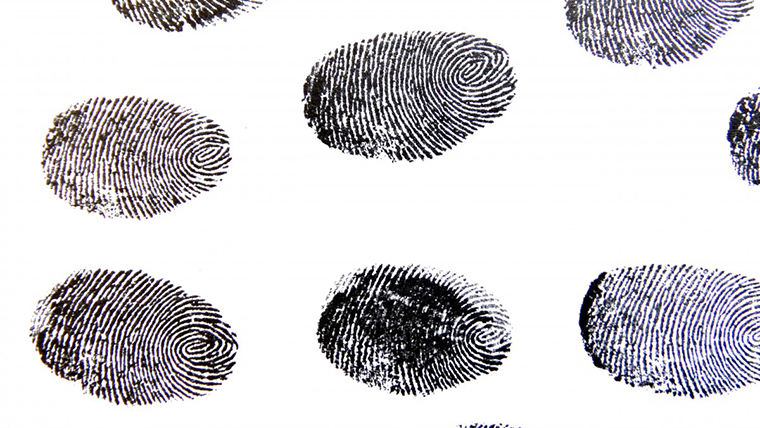 Biometric verification